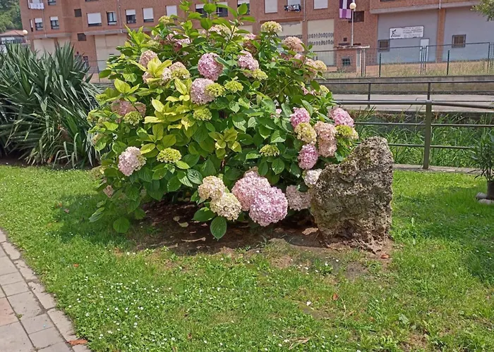 El Refugio De Noa Apartamento *